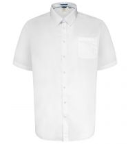 Chemisette Manches Courtes Blanche Duke 2XL à 10XL