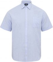 Chemisette Manches Courtes Bleue All Size du 3XL au 8XL