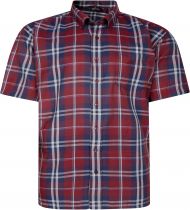 Chemisette Manches Courtes Bordeaux Espionage du 2XL au 8XL