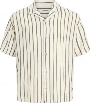 Chemisette Manches Courtes Cr&eacute;me du 3XL au 8XL