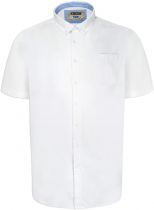 Chemisette Oxford Blanche Duke 2XL à 8XL