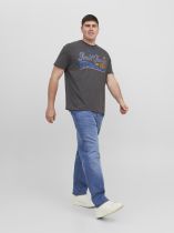 Jean Stretch Indigo Jack&Jones du 42US au 54 US