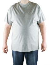 T-Shirt Gris Manches Courtes Col Rond 100% Cotton All Size