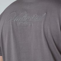 T-shirt Manches Courtes Gris All Size du 3XL au 8XL