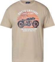 Tshirt Manches Courtes Beige All Size du 3XL au 8XL