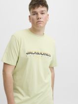 Tshirt Manches Courtes Blanc Jack&Jones du 3XL au 8XL