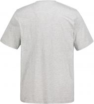 Tshirt Manches Courtes Col Tunisien Gris JP1880 du 3XL au 7XL