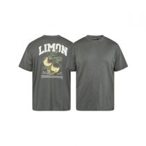 Tshirt Manches Courtes Gris All Size du 3XL au 8XL