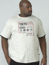 Tshirt Manches Courtes Gris Duke Du 3XL au 8XL