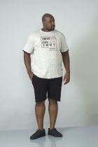 Tshirt Manches Courtes Gris Duke Du 3XL au 8XL