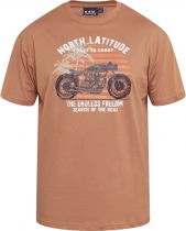 Tshirt Manches Courtes Orange All Size du 3XL au 8XL